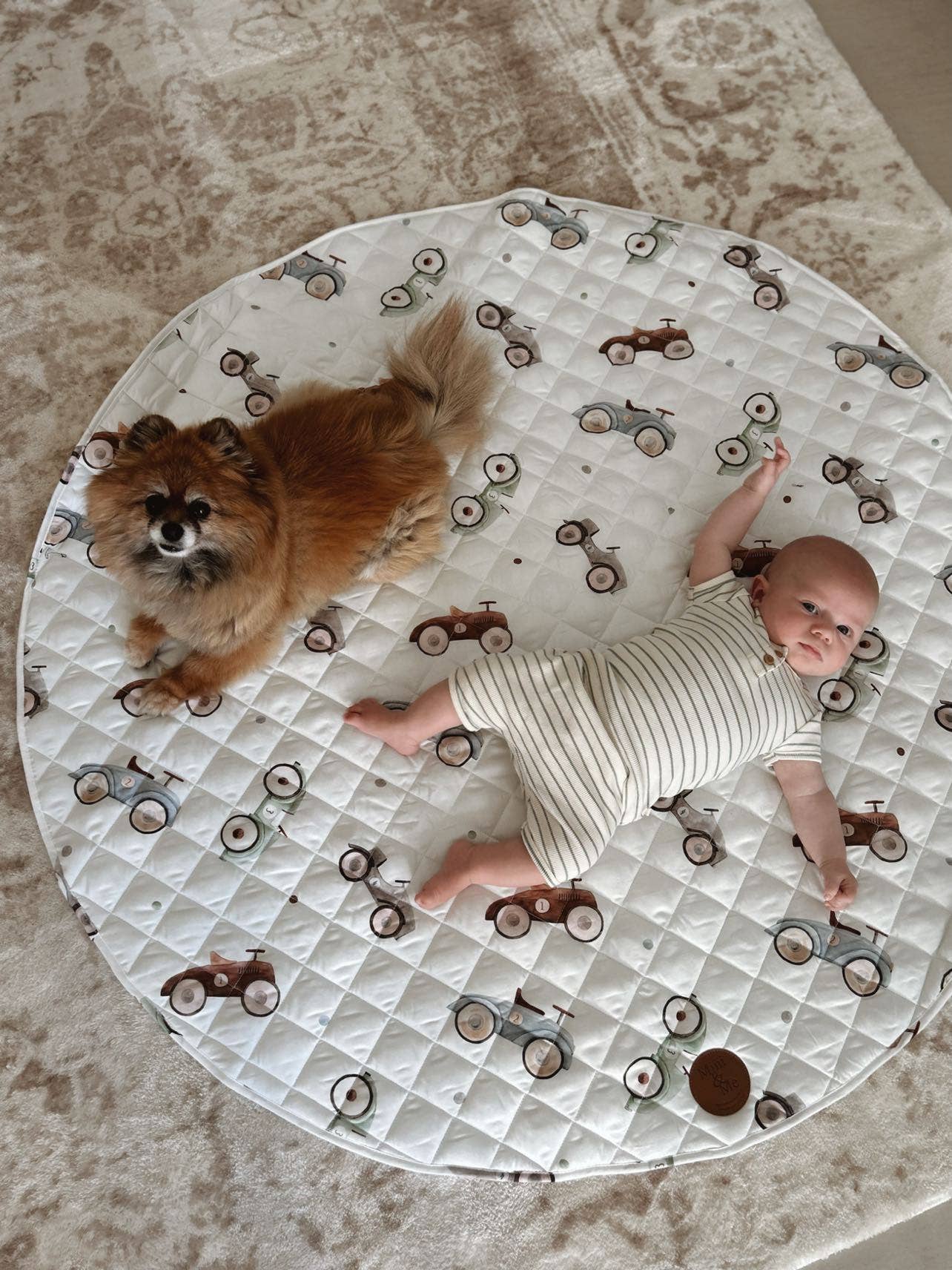 Mini & Me Padded Waterproof Playmat Cars