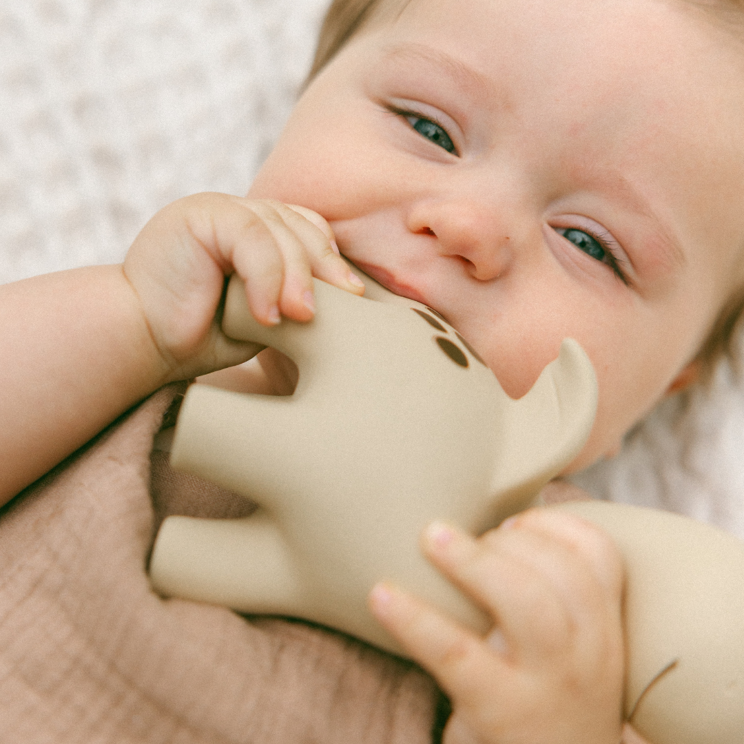 Diplo the Dino-Dragon Natural Rubber Teether: Sage