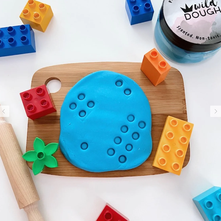 Wild Dough - Brights Playdough