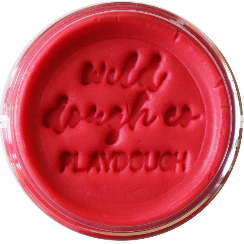 Wild Dough - Brights Playdough
