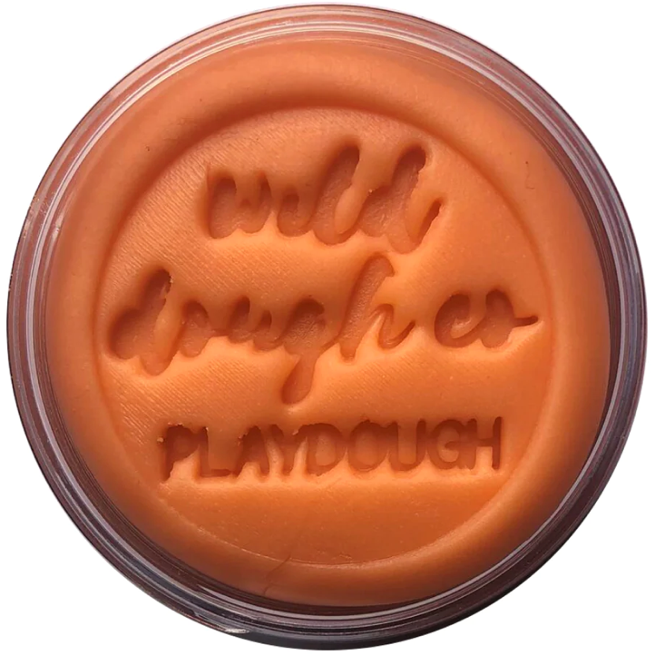Wild Dough - Brights Playdough