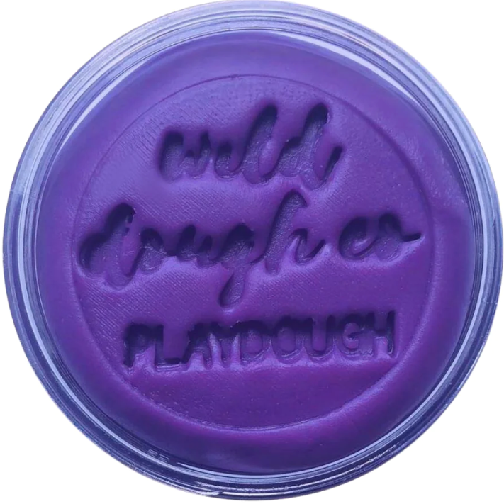 Wild Dough - Brights Playdough