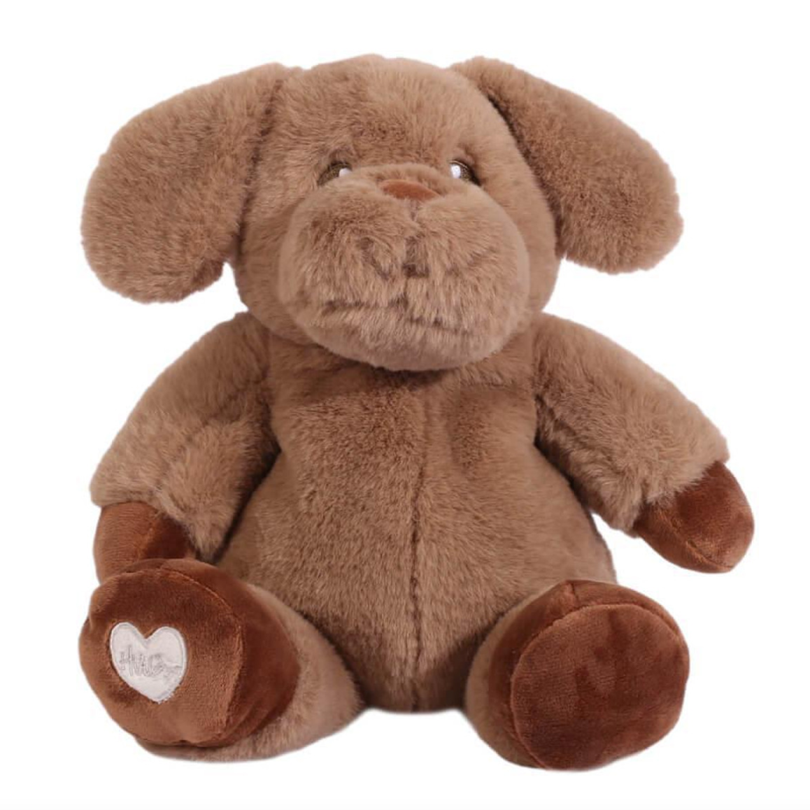 Toasty Hugs - Denver Dog