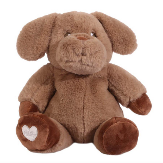 Toasty Hugs - Denver Dog