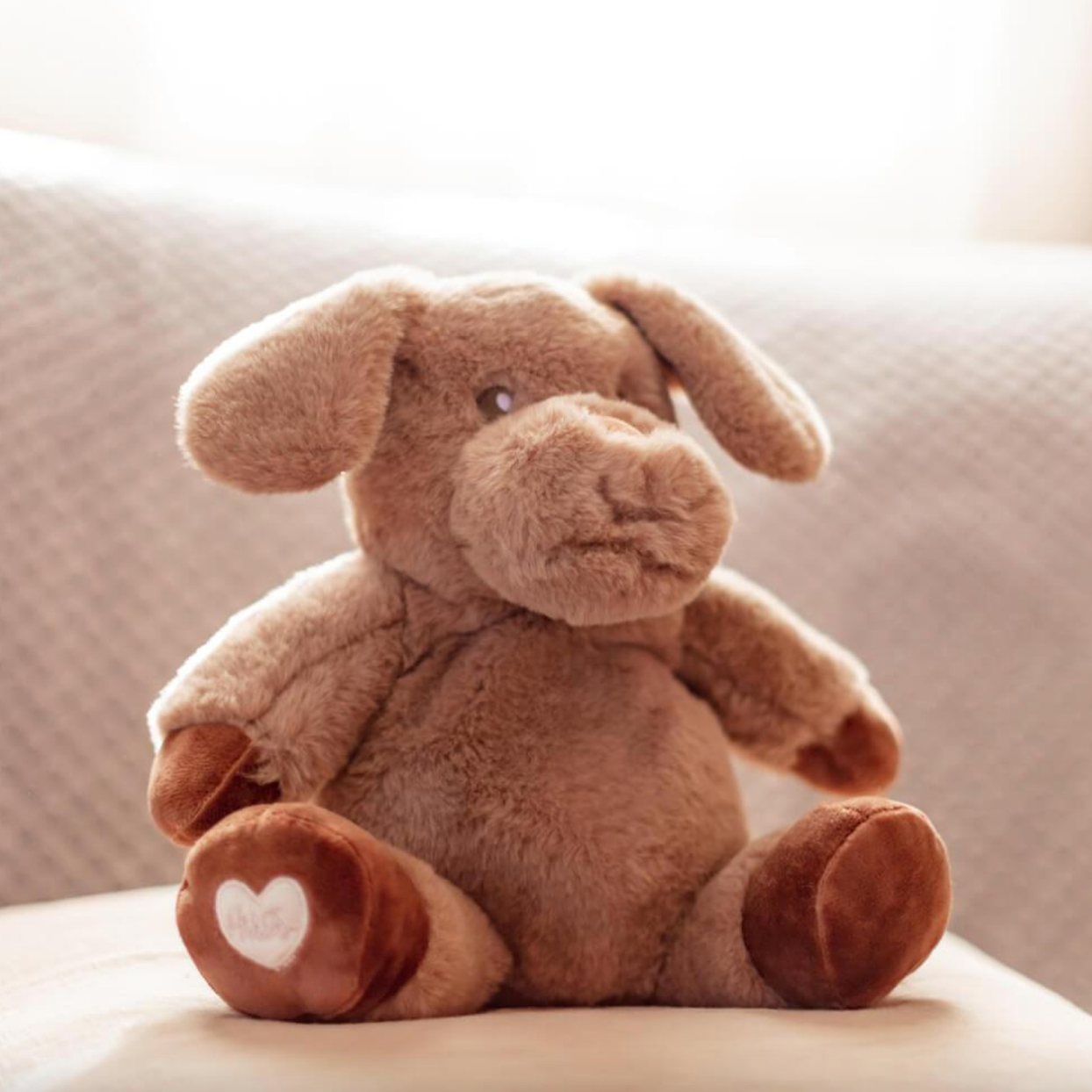 Toasty Hugs - Denver Dog