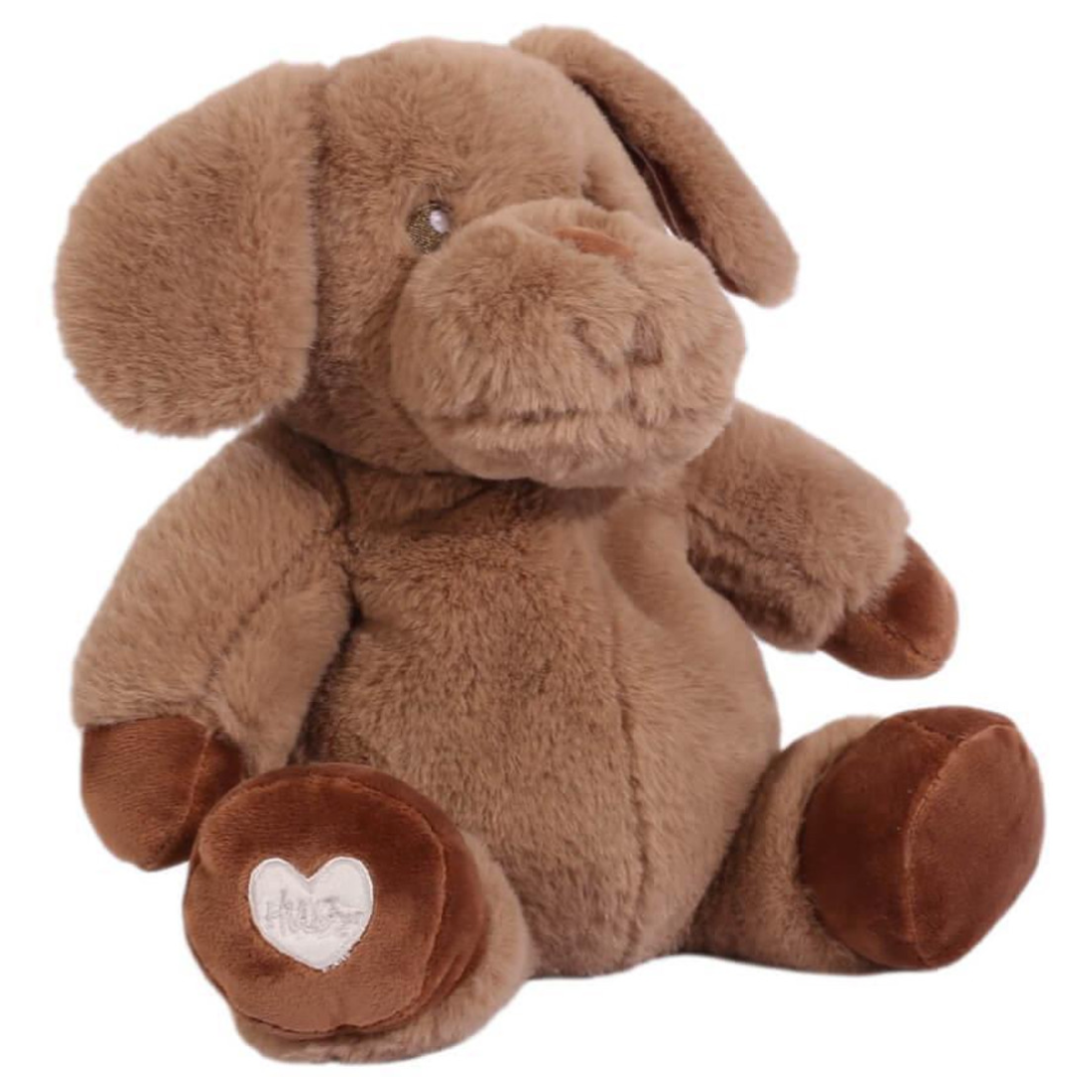 Toasty Hugs - Denver Dog