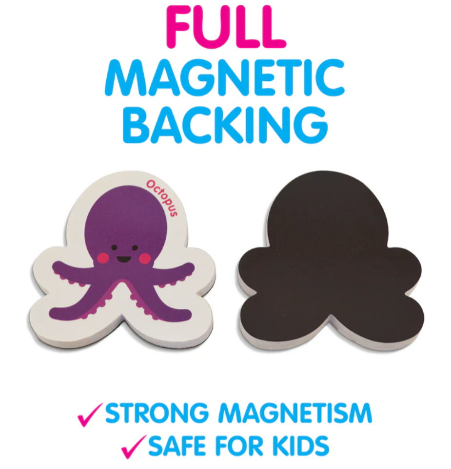 Curious Columbus - Magnetic Objects and Letters