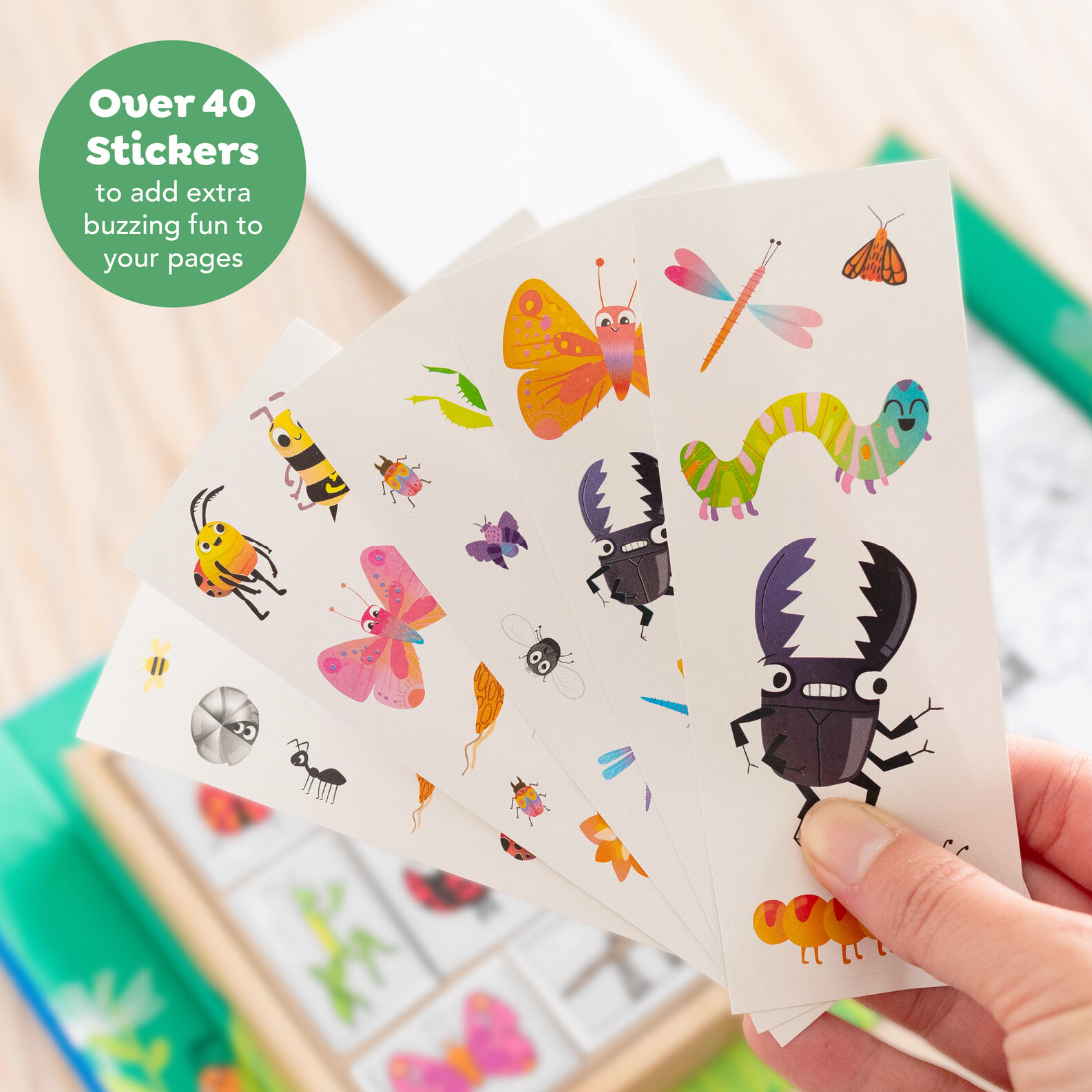 Colouring Set - Backyard Bugs