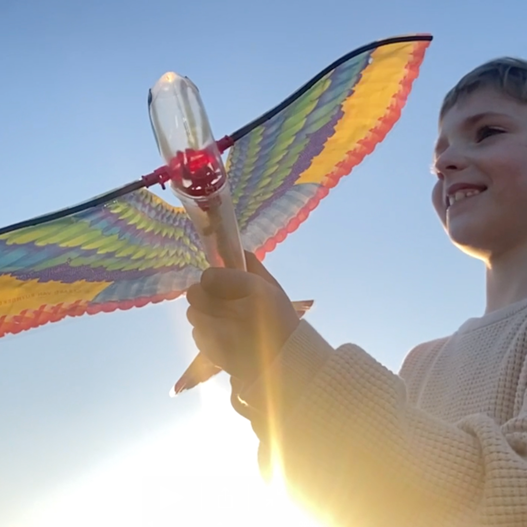 Tim - The Original Flying Bird