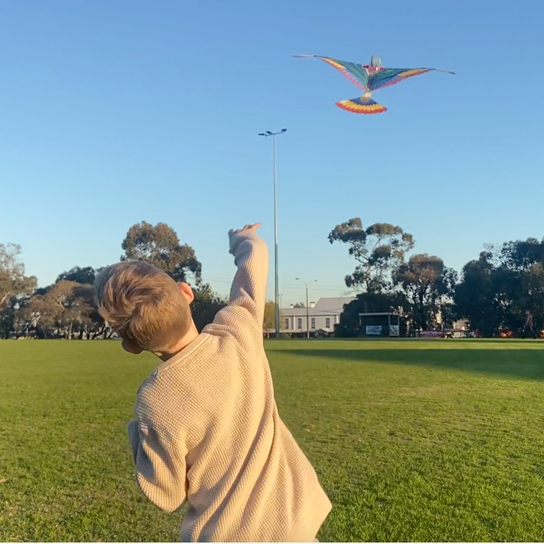 Tim - The Original Flying Bird