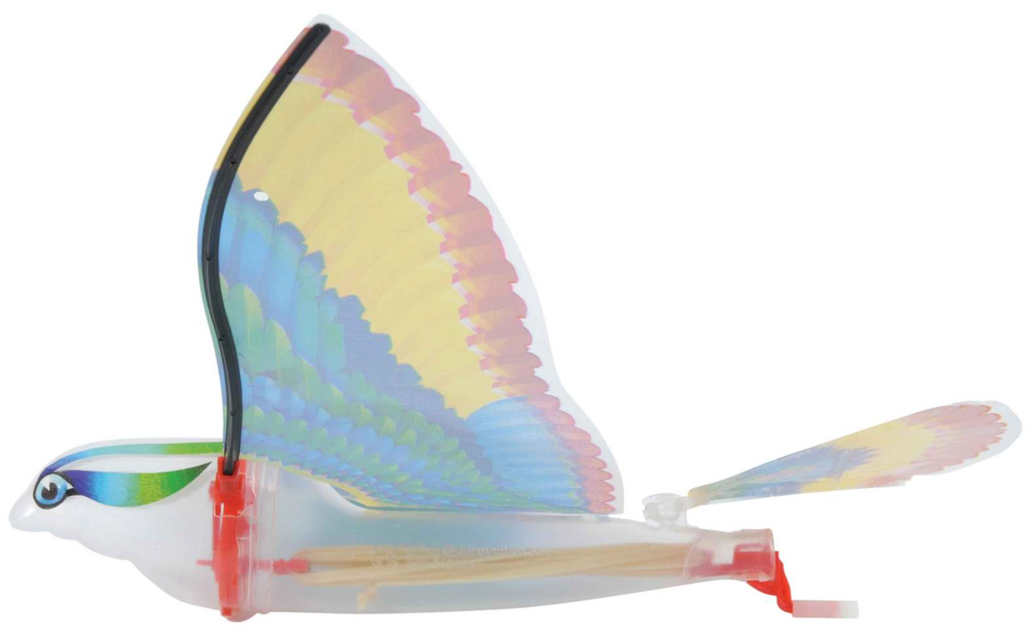 Tim - The Original Flying Bird