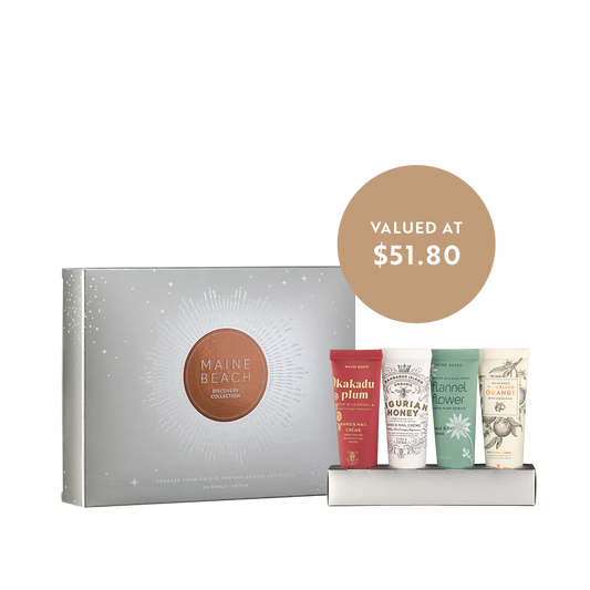 Maine Beach - Discovery Collection