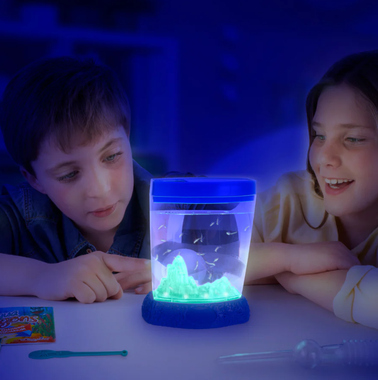 Aqua Dragons - Colour Changing Aquarium with LED Lights