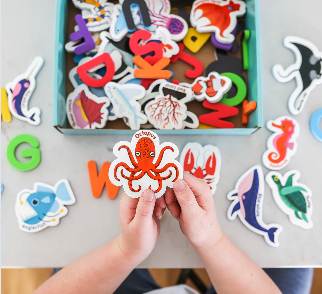 Groves Letters Curious Columbus - Magnetic Sea Creatures and Letters – Little Love Groves
