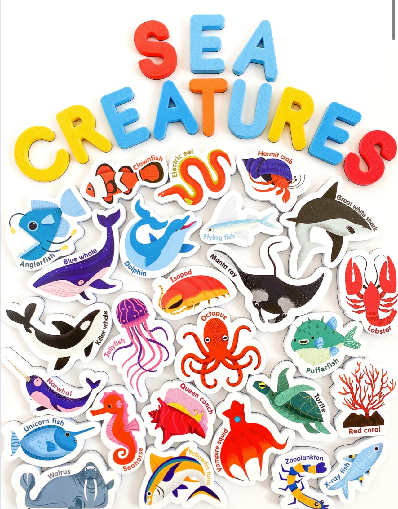 Curious Columbus - Magnetic Sea Creatures and Letters