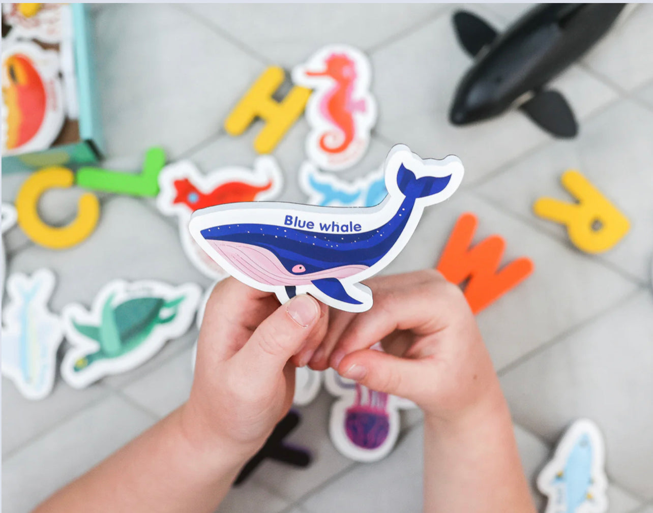 Curious Columbus - Magnetic Sea Creatures and Letters